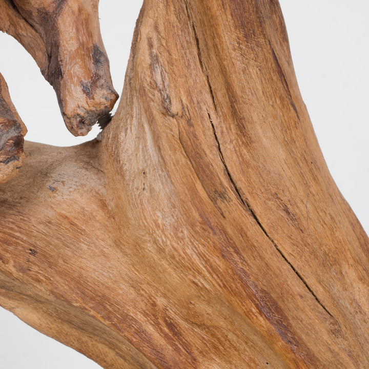Image 'Foetus' by Jan Dekeyser from 2014