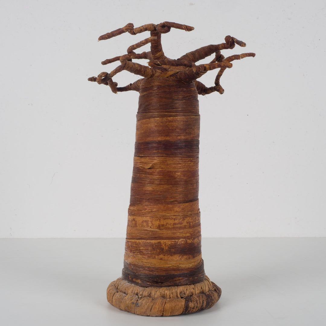 Decoratieve Baobabboom – Sculpturaal natuurobject – 18 x 18 x 27 cm