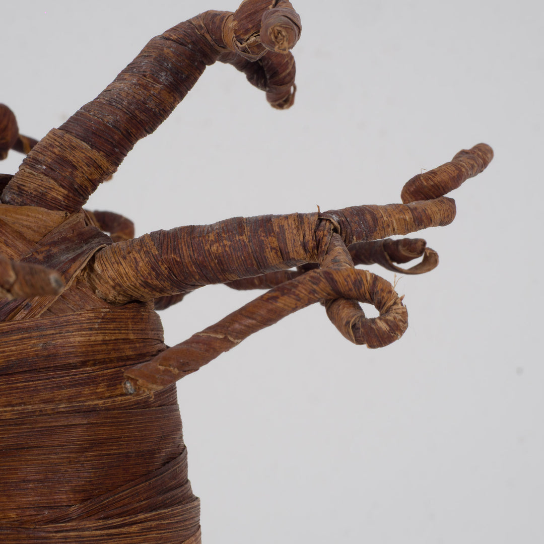 Decoratieve Baobabboom – Sculpturaal natuurobject – 18 x 18 x 27 cm