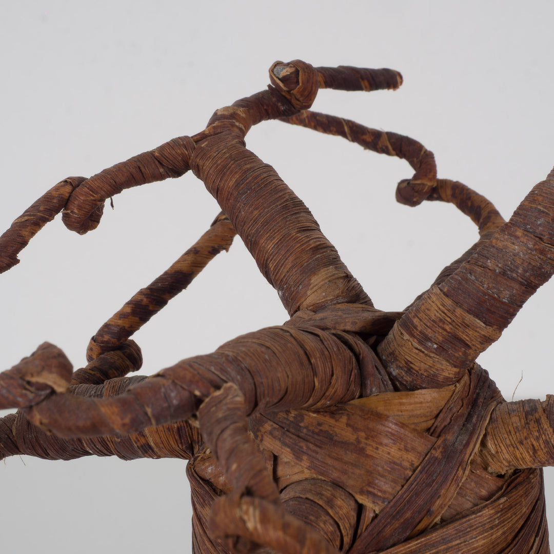 Decoratieve Baobabboom – Sculpturaal natuurobject – 18 x 18 x 27 cm