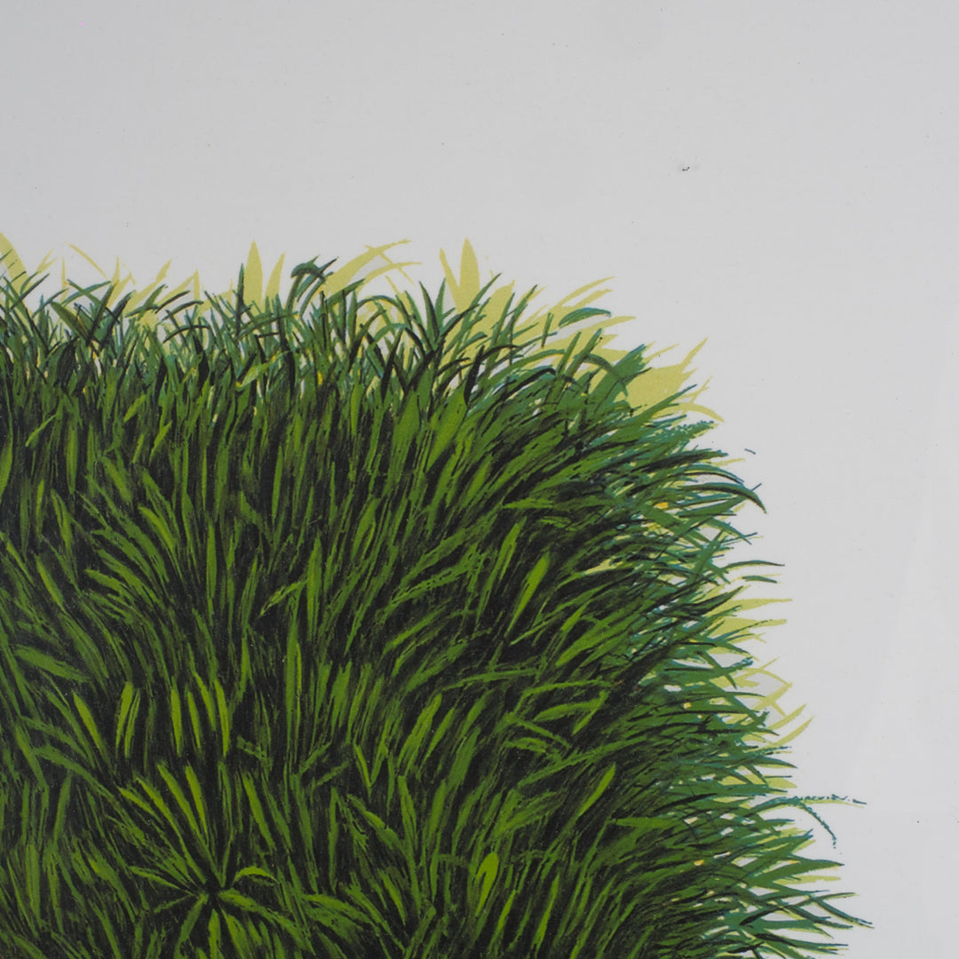 Elias – Surrealistische Lithografie met Groene Bestelwagen | 69 x 49 cm (ingekaderd)
