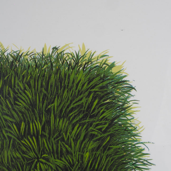 Elias – Surrealistische Lithografie met Groene Bestelwagen | 69 x 49 cm (ingekaderd)