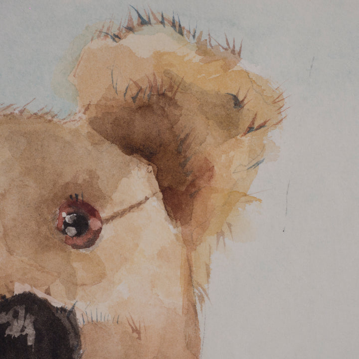 Super beautiful watercolor of a bear