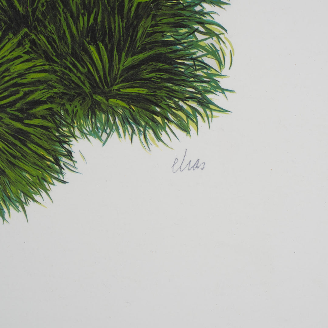Elias – Surrealistische Lithografie met Groene Bestelwagen | 69 x 49 cm (ingekaderd)