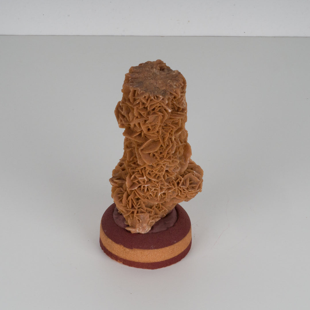 Desert Rose on Brown Round Base – Natural Sculpture Full of Mysticism