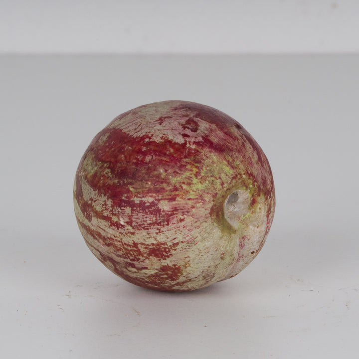 Beautiful authentic plum in stone 