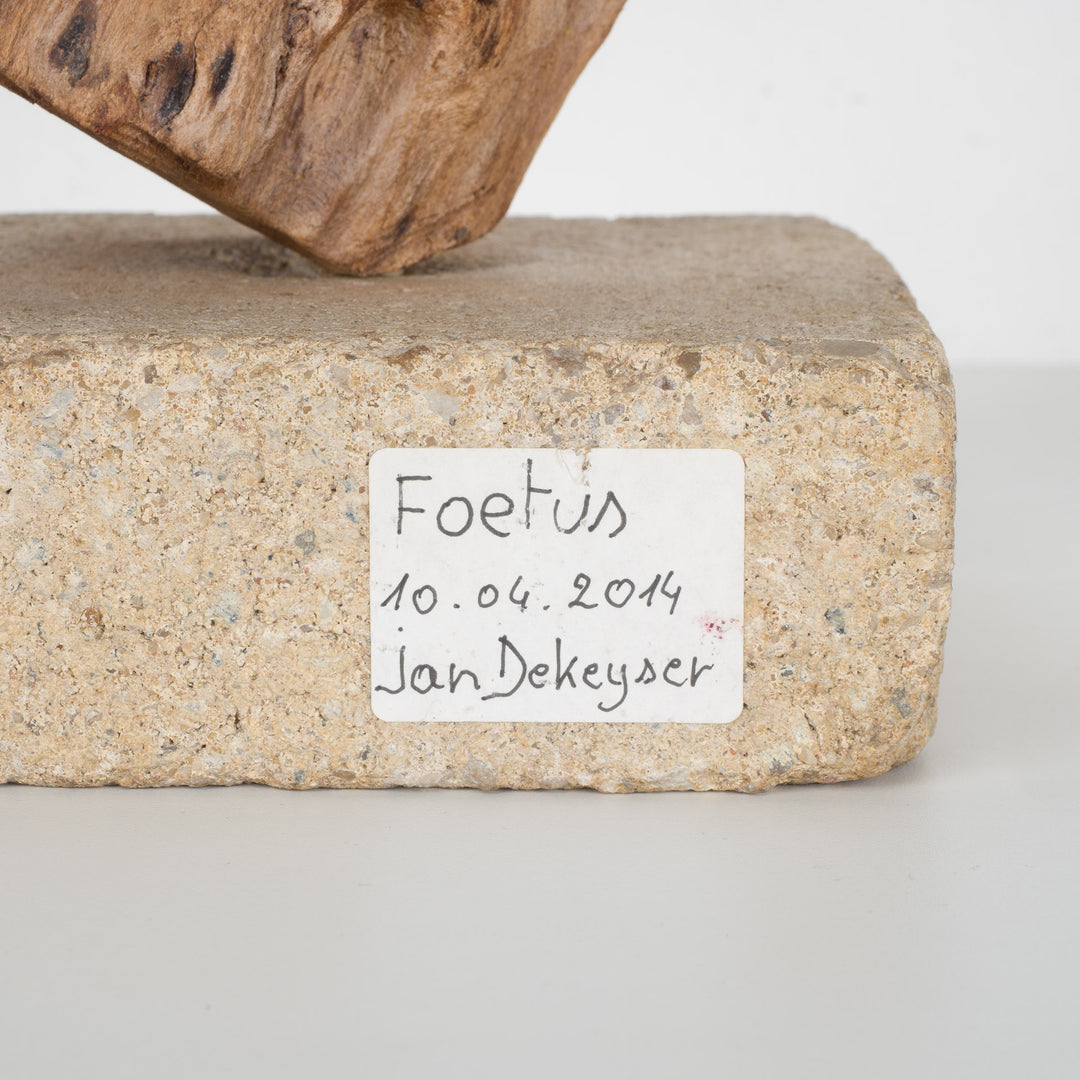 Image 'Foetus' by Jan Dekeyser from 2014