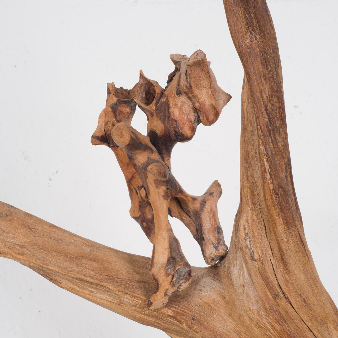 Image 'Foetus' by Jan Dekeyser from 2014