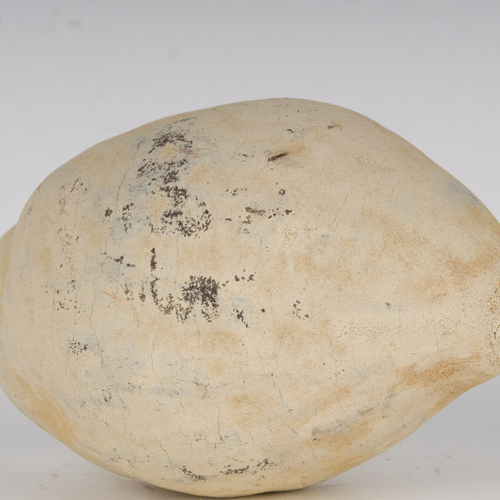 A beautiful beige gourd