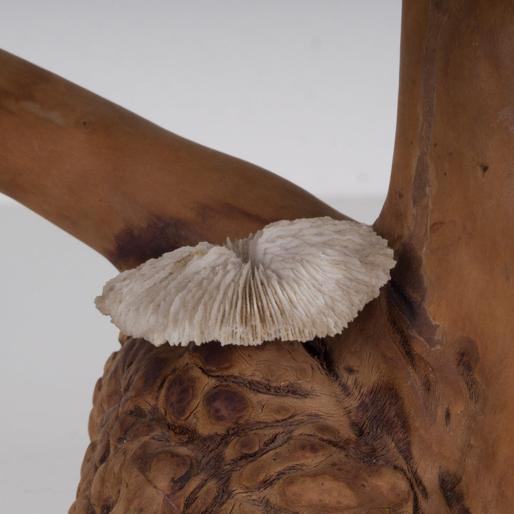 A sculpture of coral mushroom on driftwood