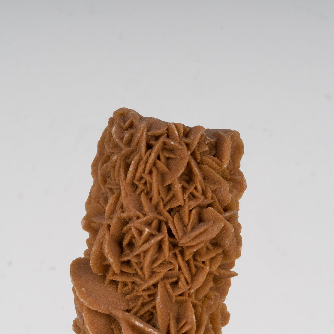 Desert Rose on Brown Round Base – Natural Sculpture Full of Mysticism