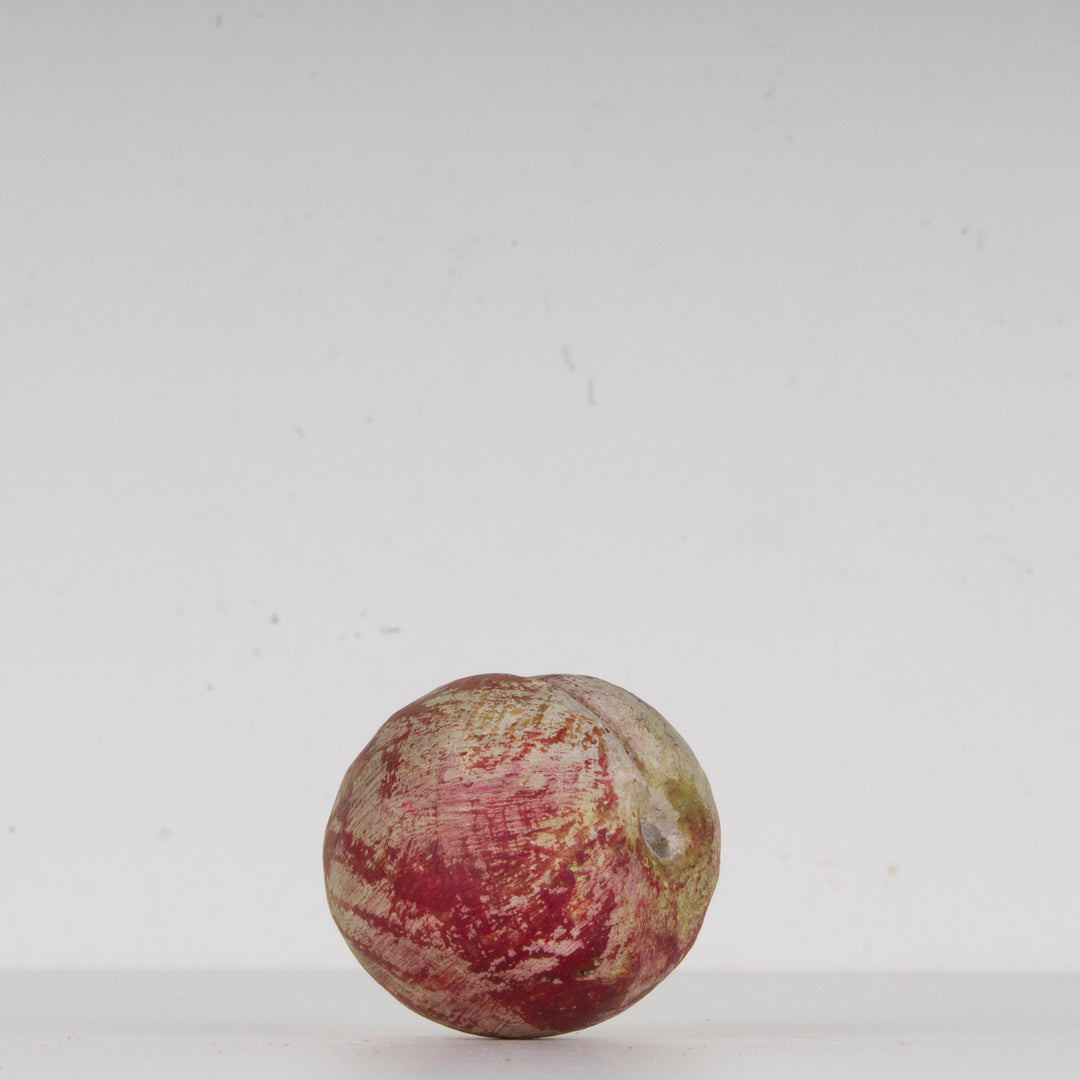 Beautiful authentic plum in stone 