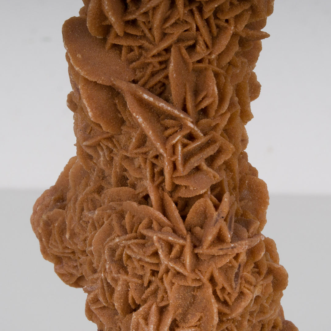 Desert Rose on Brown Round Base – Natural Sculpture Full of Mysticism