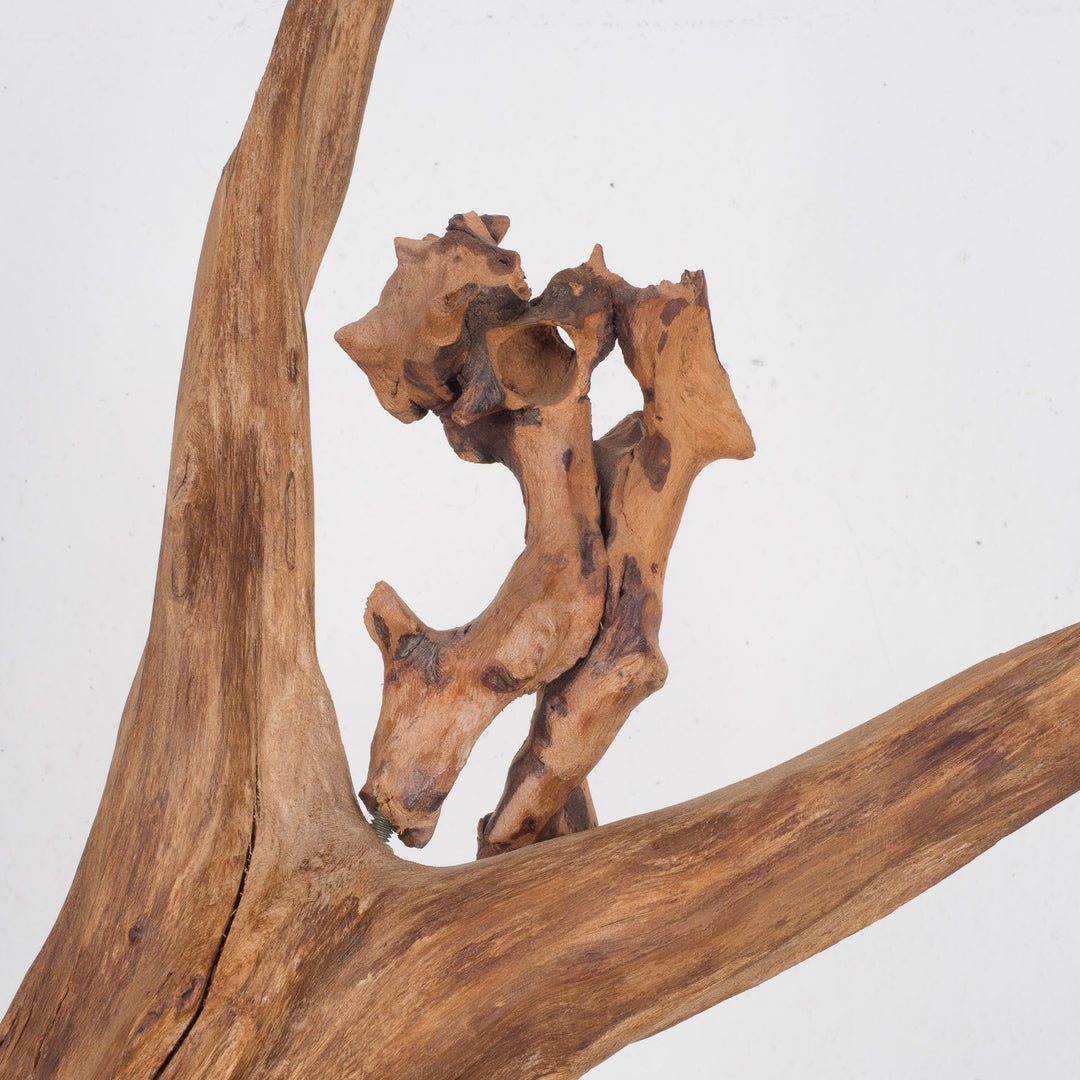 Image 'Foetus' by Jan Dekeyser from 2014