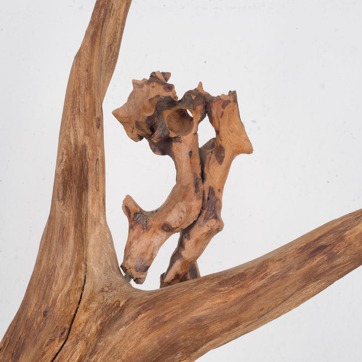 Image 'Foetus' by Jan Dekeyser from 2014