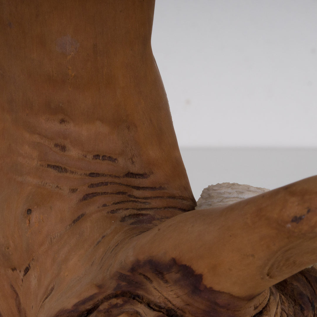 A sculpture of coral mushroom on driftwood