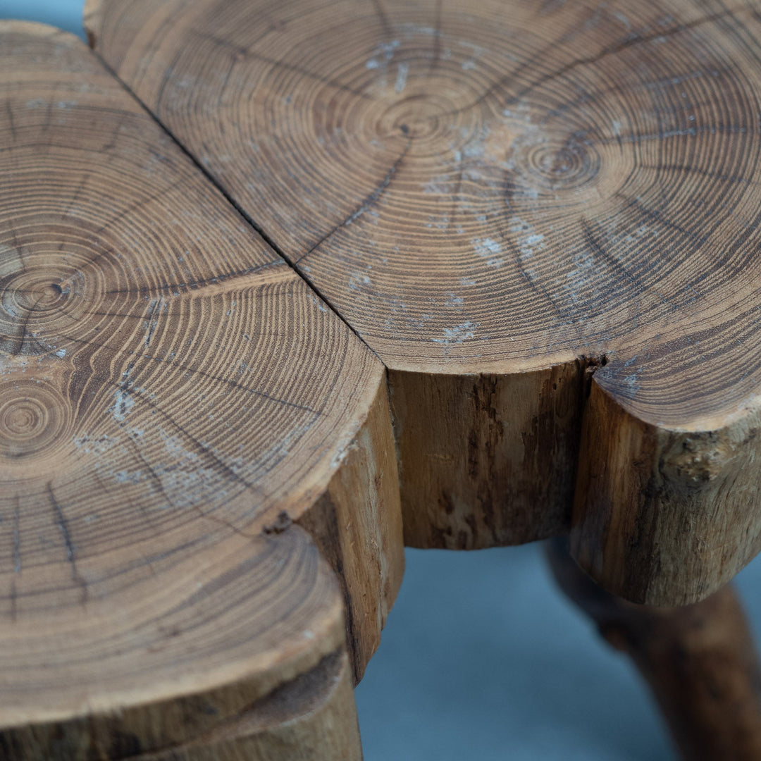 Houten krukje met 6 pootjes in een organische vorm - De Tuin Der Kunsten