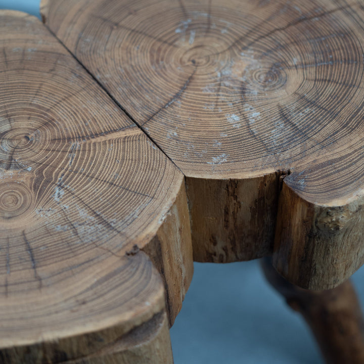 Houten krukje met 6 pootjes in een organische vorm - De Tuin Der Kunsten